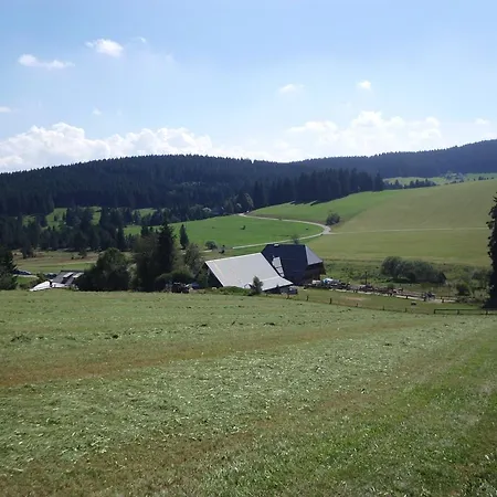 شقة Ferienwohnung Im Schwarzwaldhauschen Schönwalde